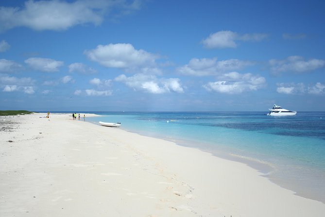 Seastar Luxury Outer Great Barrier Reef Island and Reef Tour - Lunch, Tea, and What Is Actually Included