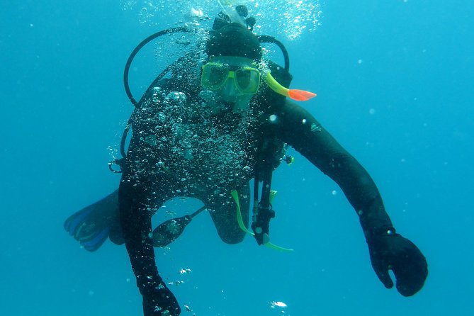 Seastar Luxury Outer Great Barrier Reef Island and Reef Tour - Who Will Enjoy This Cairns Reef Trip?