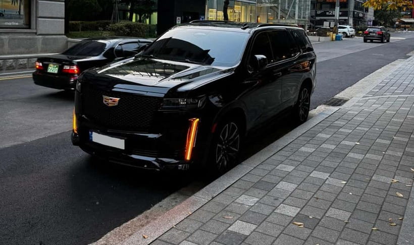 Seoul: Private Luxury Vehicle Tour - English/Spanish guiding - Key points to know before booking