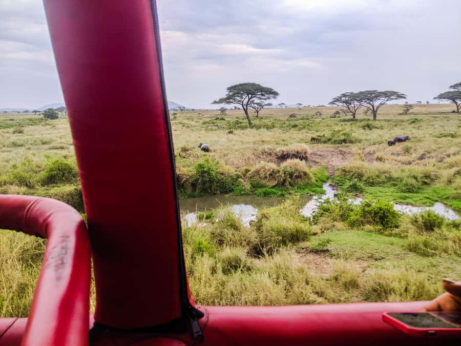 Serengeti Balloon Ride and Luxury Bush Breakfast - Why the Sunrise Views Matter