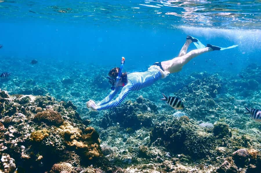 Sharm El Sheikh: Luxury boat Cruise with Snorkeling & Lunch - Transport, fees, and what your $35 buys