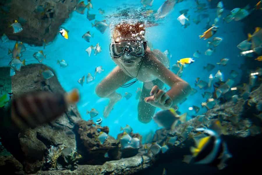 Sharm El Sheikh: Luxury boat Cruise with Snorkeling & Lunch - Who will enjoy this cruise most?
