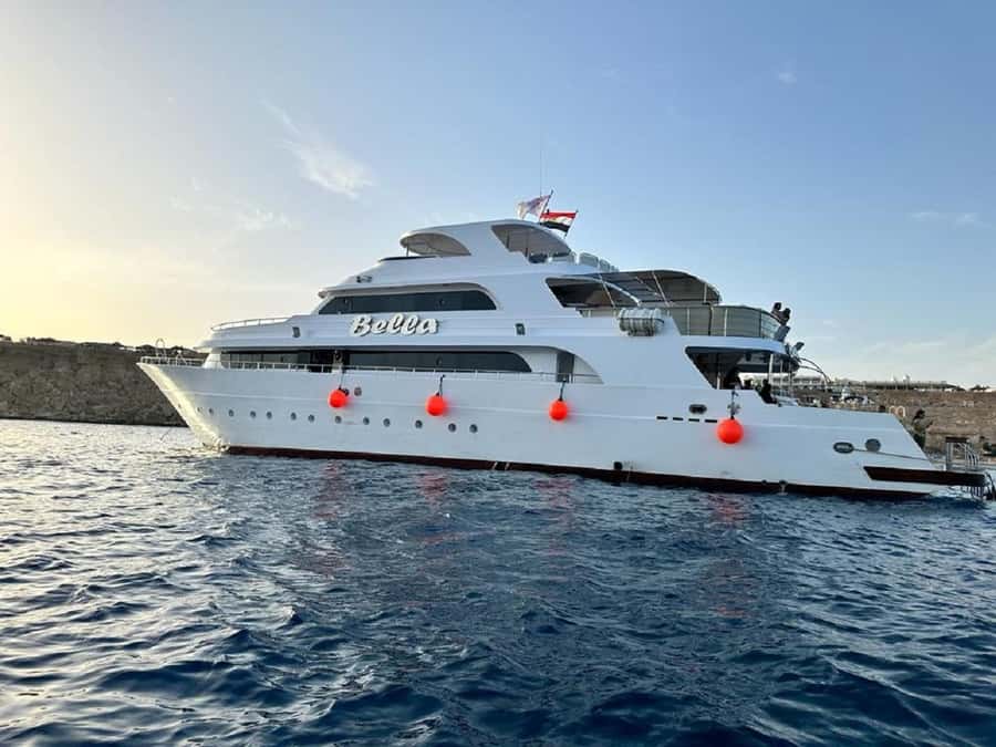 Sharm: Vip Snorkeling Cruise with international lunch - Why this cruise costs $117