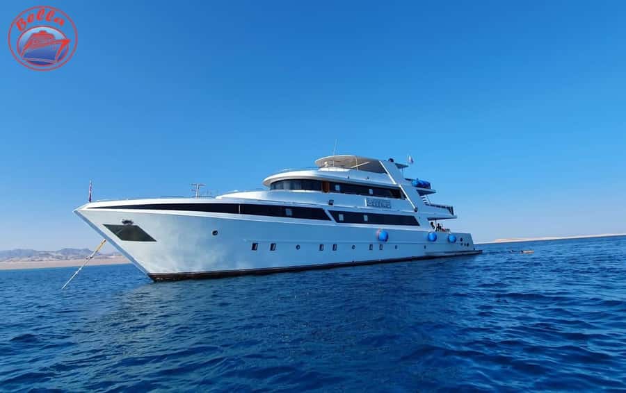 Sharm: Vip Snorkeling Cruise with international lunch - Languages, access, and who will enjoy it