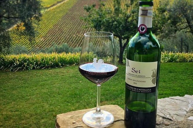 Siena and Chianti Wineries Excursion by Private Luxury Van from Florence - Leaving Florence for Siena by Private Van
