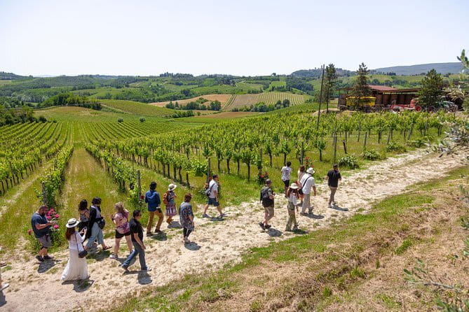 Siena and Chianti Wineries Excursion by Private Luxury Van from Florence - Practical Booking Advice Before You Commit