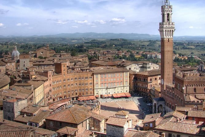 Siena and Chianti Wineries Excursion by Private Luxury Van from Florence - A Small Organic Winery in Chianti Classico