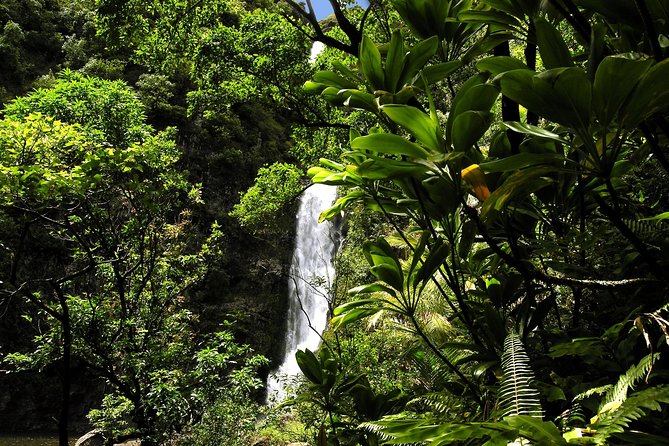 Small-Group Road to Hana Luxury Tour - Waiʻānapanapa State Park and the black sand beach