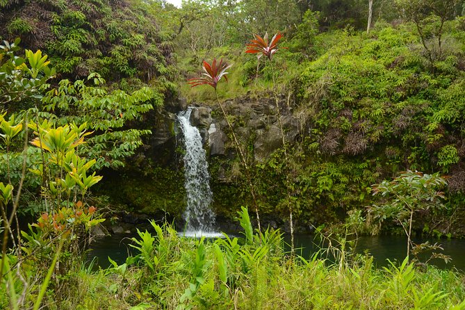 Small-Group Road to Hana Luxury Tour - Puaʻa Kaʻa State Park and the waterfall swim