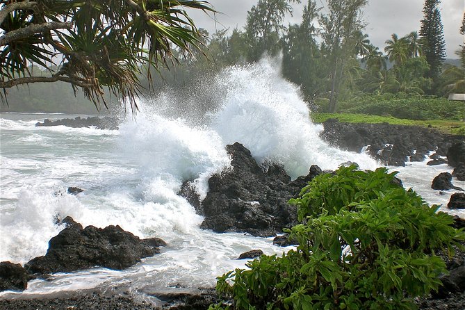 Small-Group Road to Hana Luxury Tour - What the guide adds to the day