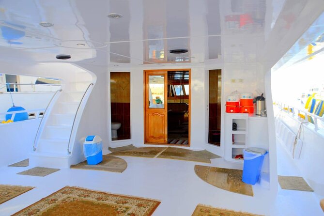 Snorkeling Day Trip To White Island And Ras Mohammed By VIP Boat - The day in six useful points