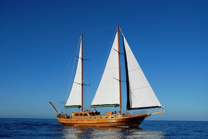 South Fuerteventura VIP Cruise on board a Turkish Gulet - Key points at a glance