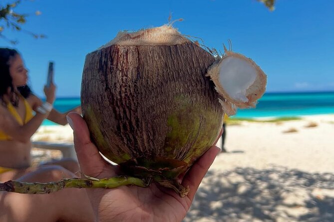 Southern VIP Route + Aguilas Bay: All Inclusive 2-Day Tour - Day 1: Barahona’s coast and freshwater pools