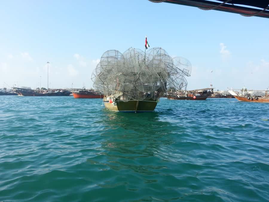 Sport and Luxury in Abu Dhabi: 1-Day Tour from Abu Dhabi - What kind of Abu Dhabi day this really is