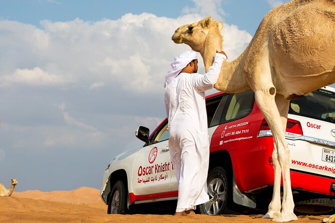 Sunset Camel Trekking with Falcon Show & VIP BBQ Dinner - Key details before you book