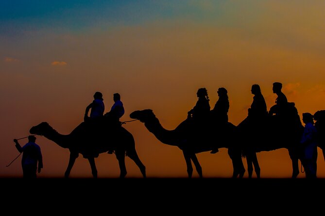 Sunset Camel Trekking with Falcon Show & VIP BBQ Dinner - From Dubai hotel to open desert
