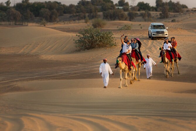 Sunset Camel Trekking with Falcon Show & VIP BBQ Dinner - Arabic coffee, dates, and the sunset pause