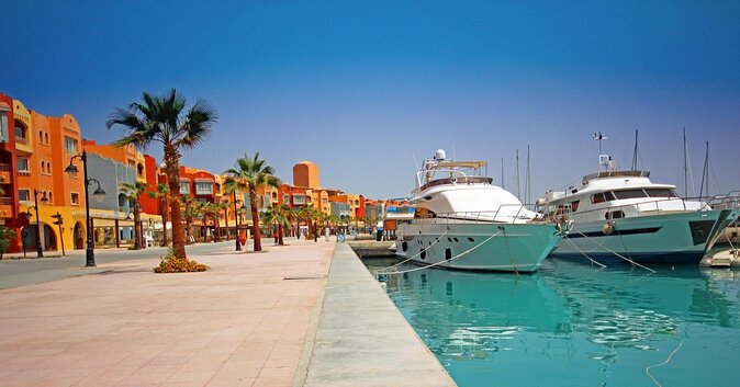 Swimming with Dolphin VIP Snorkeling Sea Trip With Lunch and Transfer - Hurghada - Key points before you book