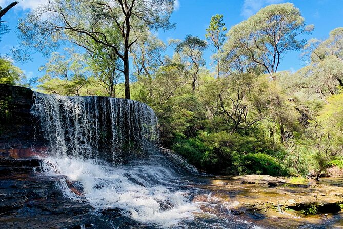 Sydney: Luxury Blue Mountains Adventure as a Small Group Day Tour - Echo Point and the Three Sisters