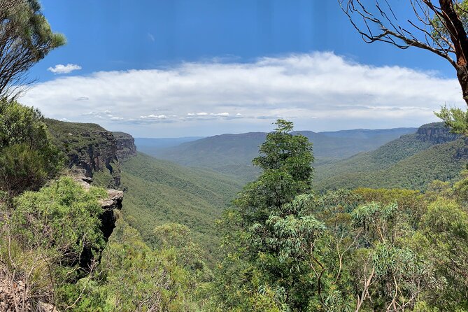 Sydney: Luxury Blue Mountains Adventure as a Small Group Day Tour - Weather, fitness, and the pace of the day