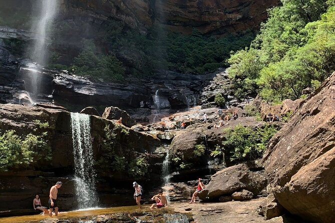 Sydney: Luxury Blue Mountains Adventure as a Small Group Day Tour - Featherdale: a friendly start with Australian wildlife