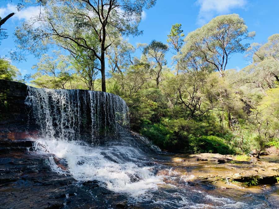 Sydney: Luxury Blue Mountains Adventure with Wentworth Falls - Why this Blue Mountains day works well
