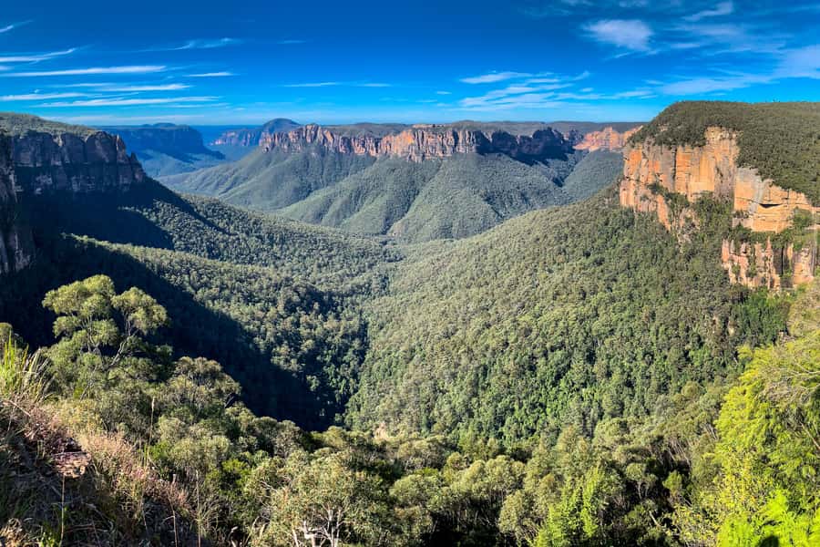 Sydney: Luxury Blue Mountains Adventure with Wentworth Falls - Featherdale Wildlife Park and close animal encounters