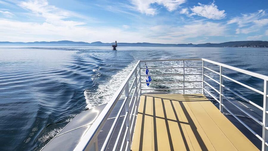 Tadoussac/Charlevoix: VIP Lounge OR UpperDeck Whale Watching - Practical advice for making the most of three hours