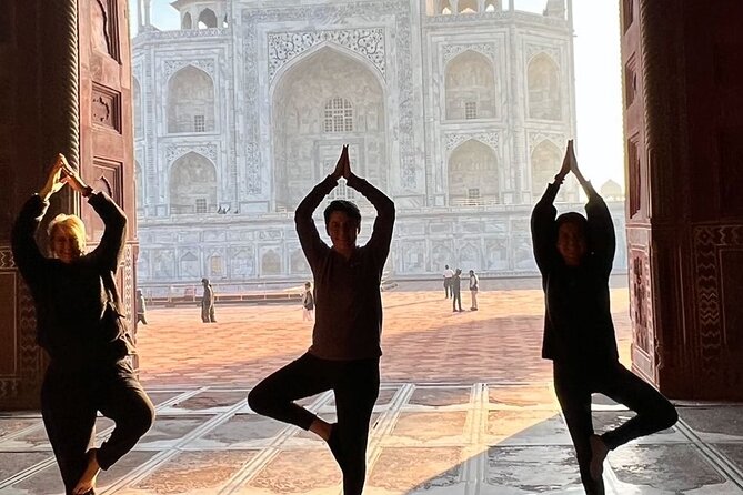 Taj Mahal skip the line luxury tour with guide - Who will enjoy this day trip most?