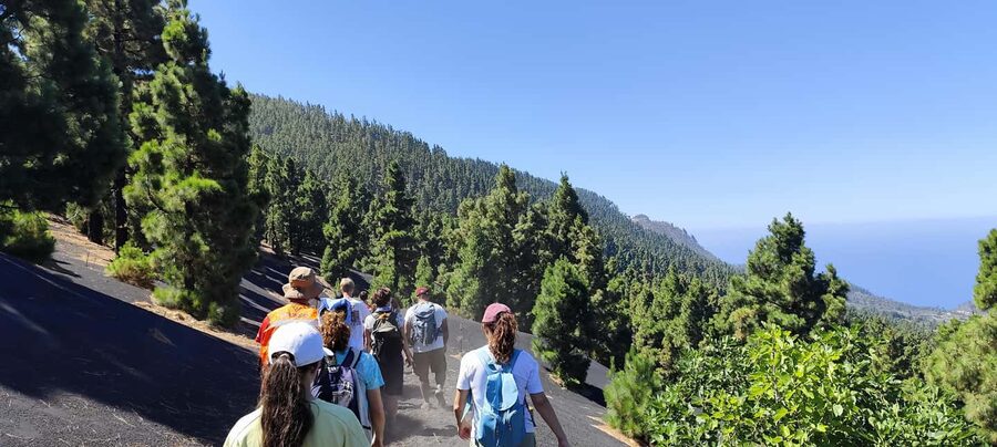 Tajogaite Volcano VIP Experience: Private Tour with a Certified Guide - Walking Ash Beside The Volcanic Cone