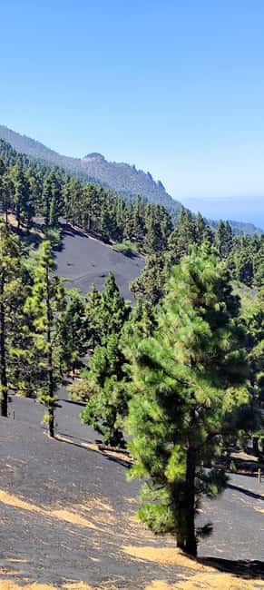 Tajogaite Volcano VIP Experience: Private Tour with a Certified Guide - A Guide Who Connects Geology With Real Lives