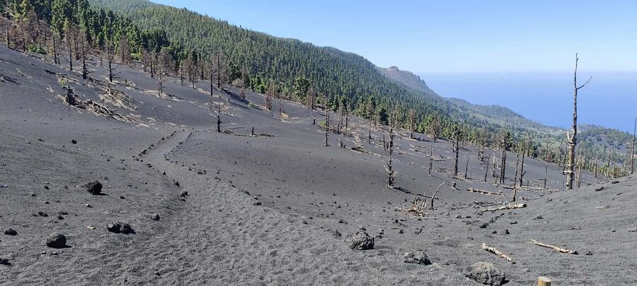 Tajogaite Volcano VIP Experience: Private Tour with a Certified Guide - Who Will Get The Most From This Tour?