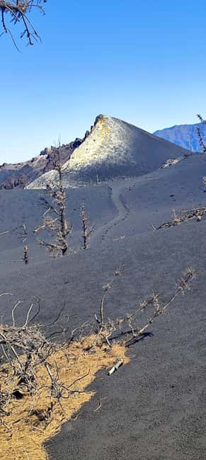 Tajogaite Volcano VIP Experience: Private Tour with a Certified Guide - Private Transport Across The New Lava Route