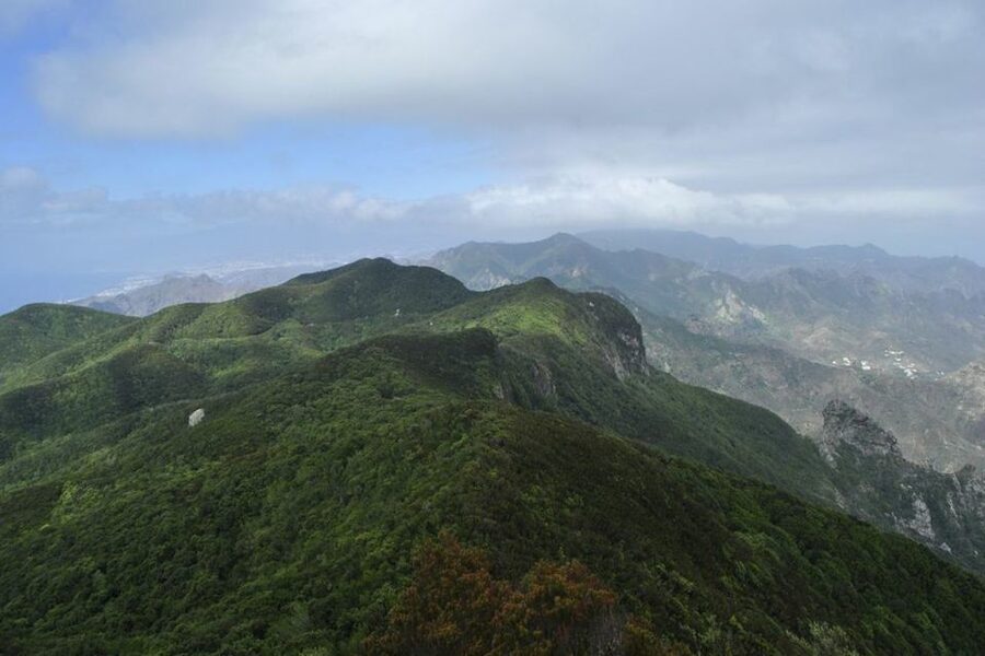 Tenerife: Anaga UNESCO VIP TOUR - Key points to know before booking