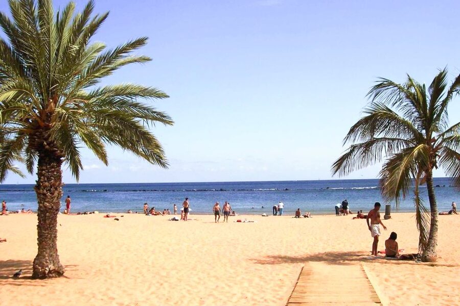 Tenerife: Anaga UNESCO VIP TOUR - Anaga’s laurel forest and mountain scenery