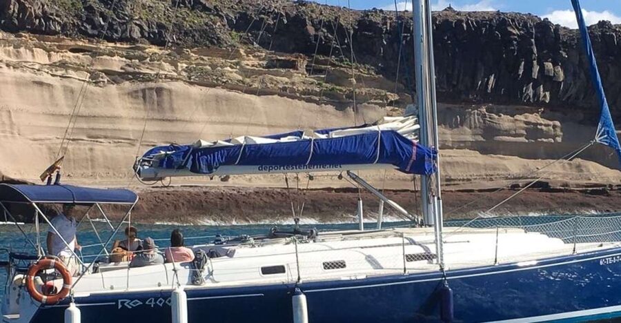 Tenerife: Luxury Private Whale & Dolphin Watching Tour - Key points before you book