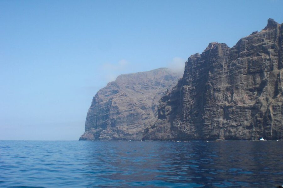 Tenerife: Luxury Private Whale & Dolphin Watching Tour - Looking for dolphins and turtles