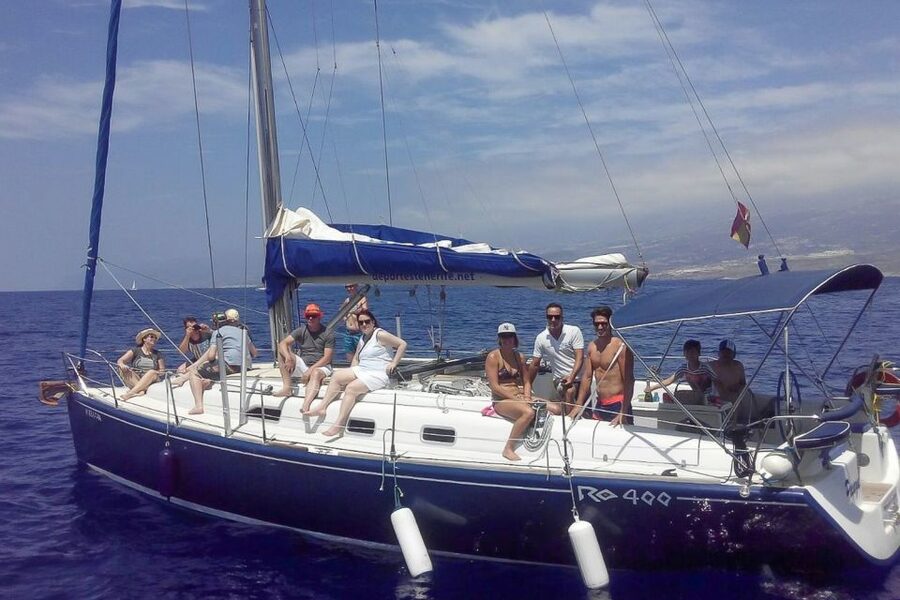 Tenerife: Luxury Private Whale & Dolphin Watching Tour - How private group size changes the value