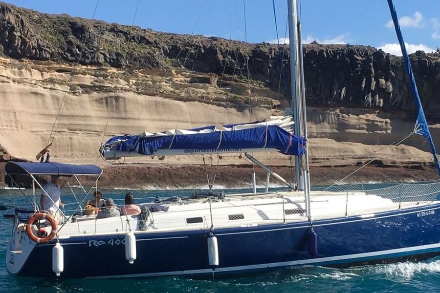 Tenerife: Luxury Private Whale & Dolphin Watching Tour - The captain, service, and multilingual help