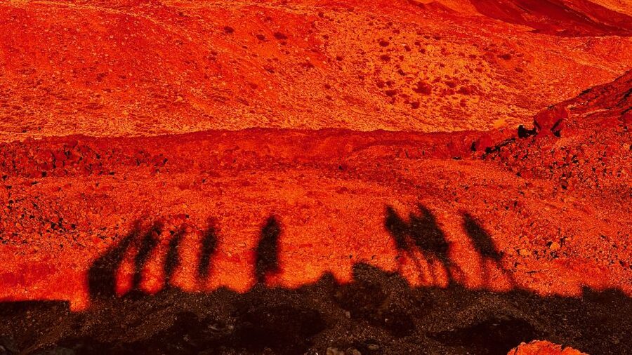 Tenerife: Private VIP Tour Teide National Park - Why a private van changes the day