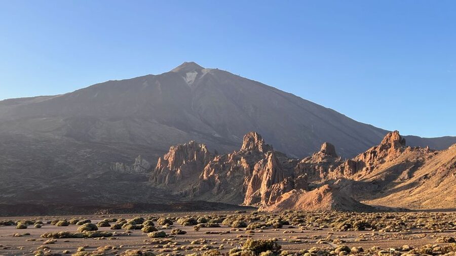 Tenerife: Private VIP Tour Teide National Park - Who should book this Teide experience?
