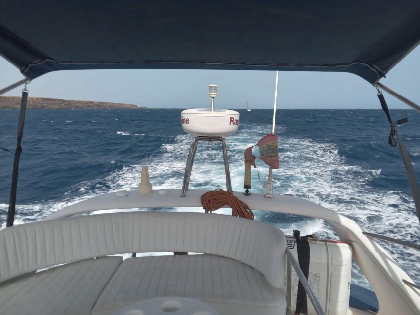 Tenerife south: safari with luxury boat , animals encounters - Practical details before you go