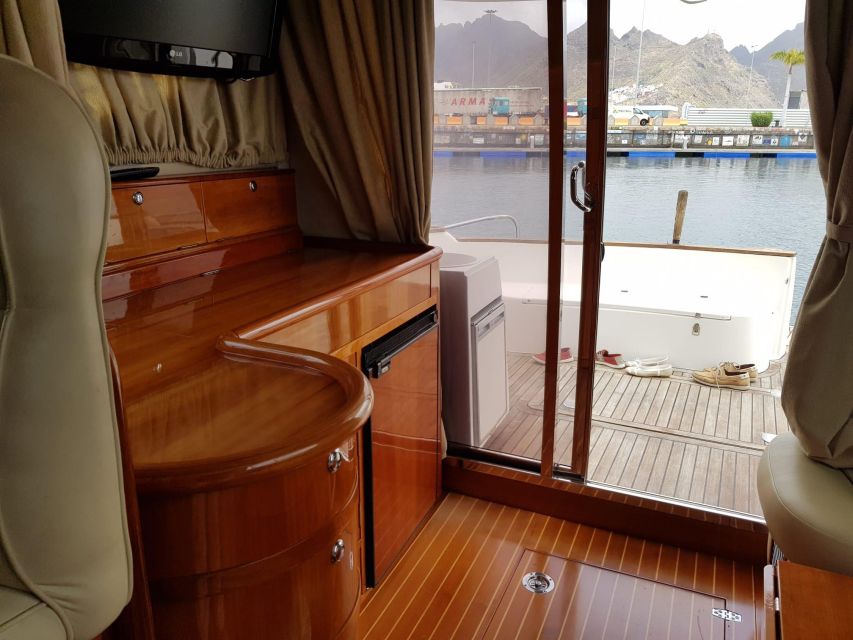 Tenerife south: safari with luxury boat , animals encounters - The halfway swim stop