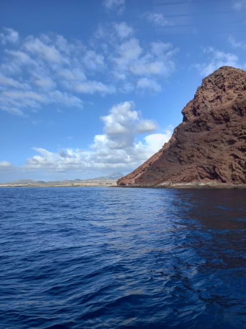 Tenerife south: safari with luxury boat , animals encounters - Who will enjoy this boat trip most