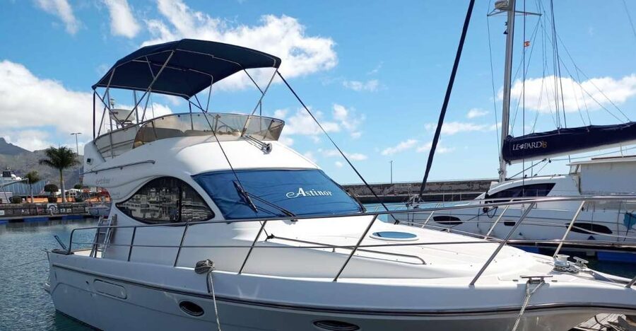 Tenerife south: safari with luxury boat , animals encounters - A two-story boat made for a relaxed three hours