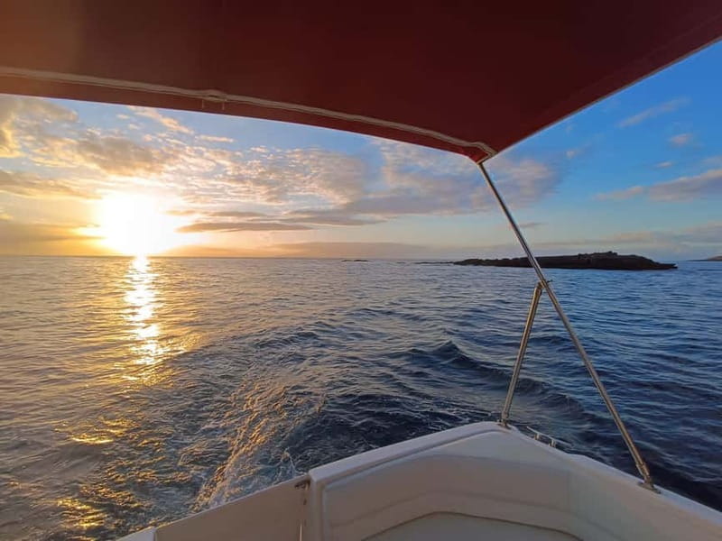 Tenerife: VIP Private Luxury 2 Hour Sunset Boat Charter - A cove, fish, and possible time in the water