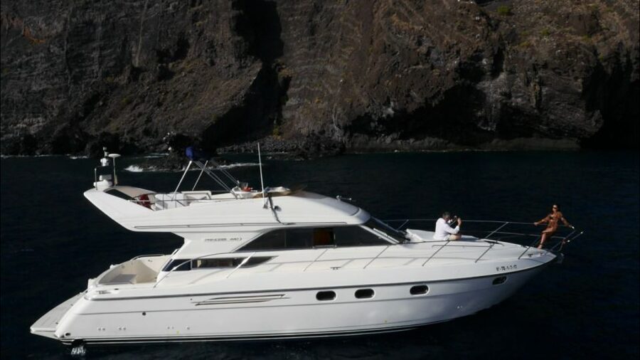 Tenerife: Whales and Snorkeling Tour on a Luxury Yacht - The key points at a glance