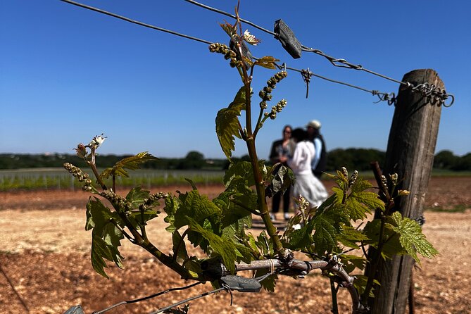 Tenute Girolamo: Wine Tour VIP - Arriving at Tenute Girolamo in Martina Franca
