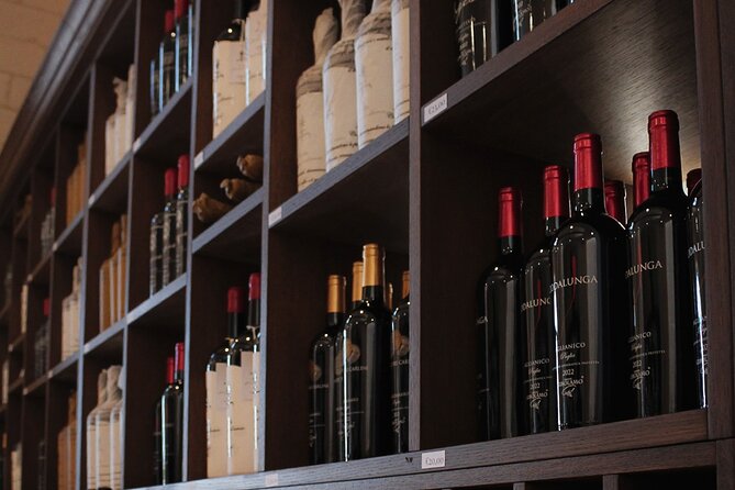 Tenute Girolamo: Wine Tour VIP - Is $71.48 a fair price?