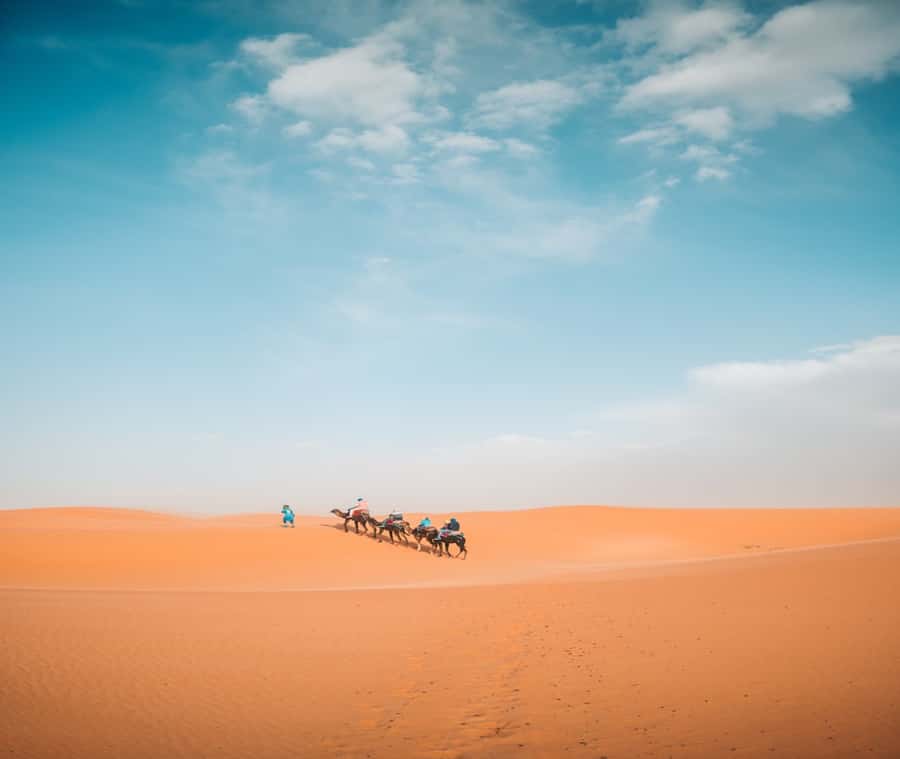 the luxury 2days 1night desert tour from fez to fez/marakech - The long road from Fez to the Sahara